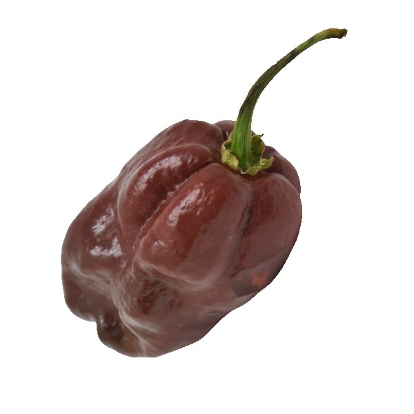 Habanero Chocolate