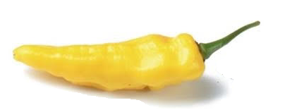 Naga Yellow