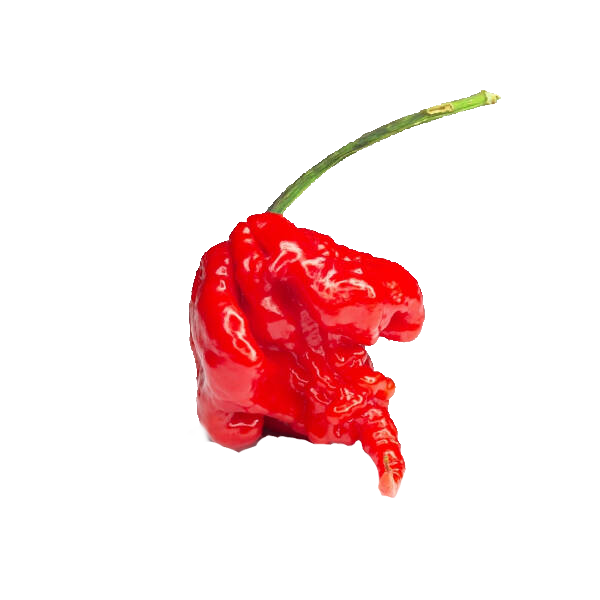 Carolina Reaper